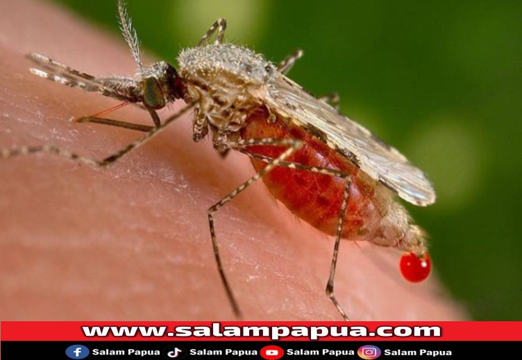 Kasus Malaria Masih Tinggi, Masyarakat Diminta Terapkan 3M