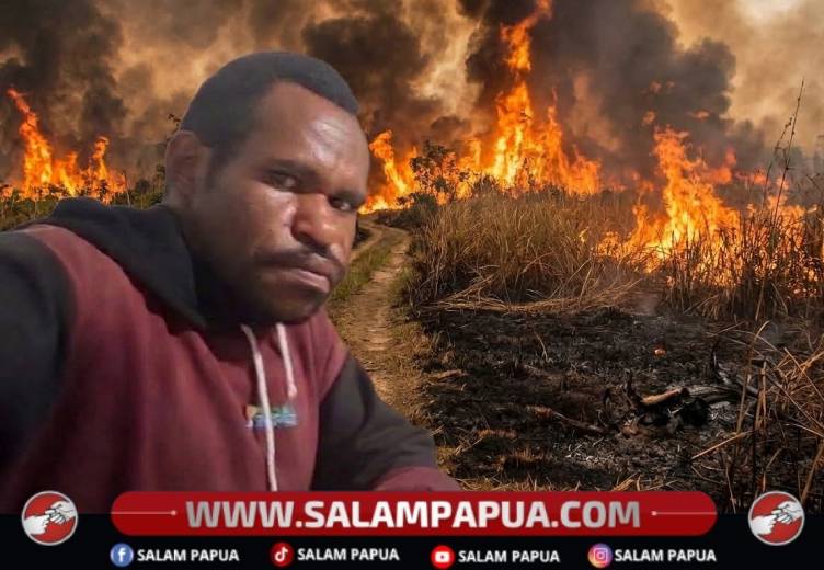 Kebakaran Hutan Dan Rawa-Rawa Merusak Ekosistem Tanah Papua