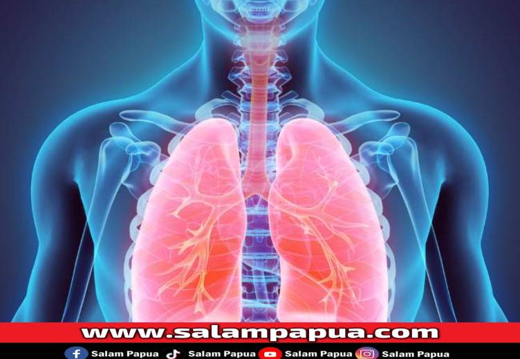 8 Cara Menjaga Kesehatan Paru-Paru Dan Hal Yang Harus Dihindari