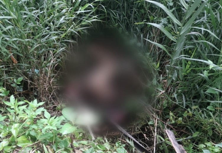 Mayat Perempuan Dikerumuni Belatung Ditemukan Di Muara Gorong-Gorong Timika