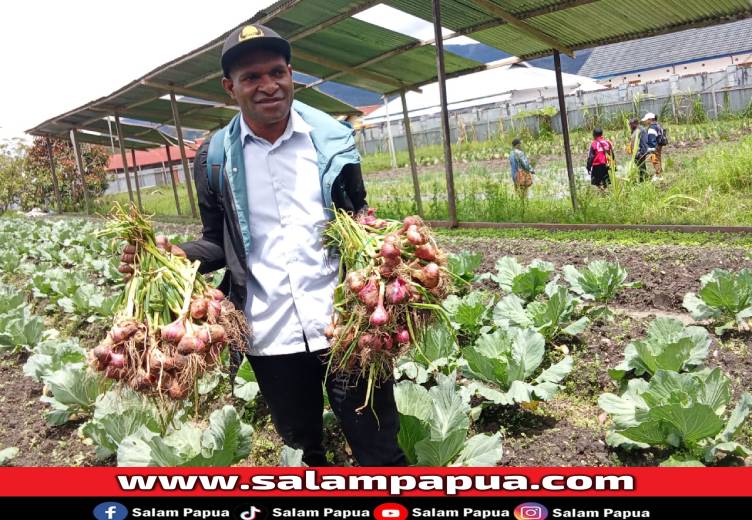 Yoni Pigai, Admin Penyuluh Pertanian Deiyai Raih Penghargaan Khusus Kementerian Pertanian RI