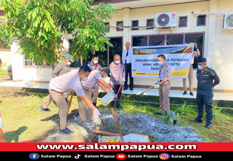 Karantina Papua Tengah Musnahkan 60 Kg Daging Babi Dan 7 Kg Jeruk Tanpa Dokumen Di Pelabuhan Poumako