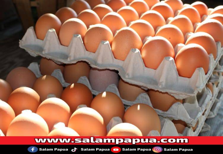 Peternak Gencar Produksi, Harga Telur Timika Turun