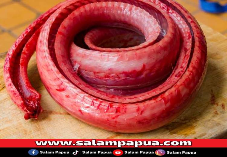 Daging Ular Bagus Untuk Kulit, Ini Fakta Medisnya