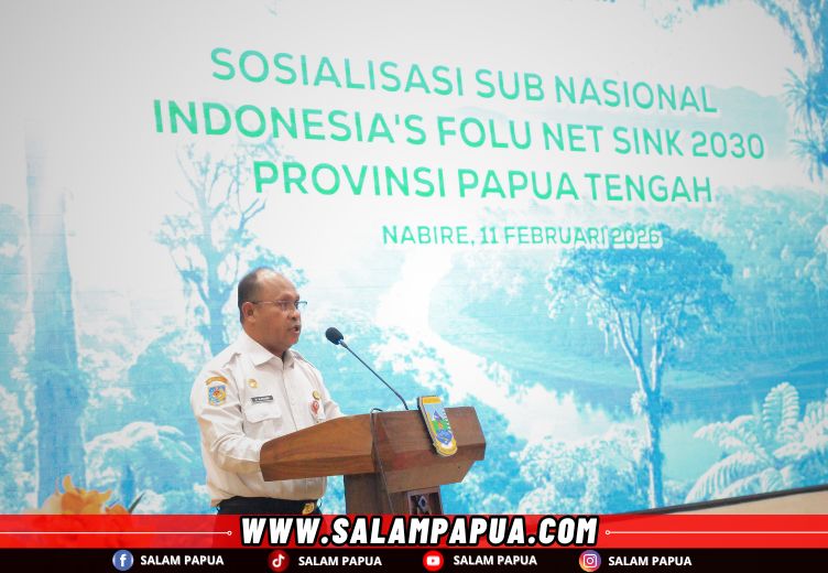 Pemprov Komitmen Jaga Hutan Papua Tengah