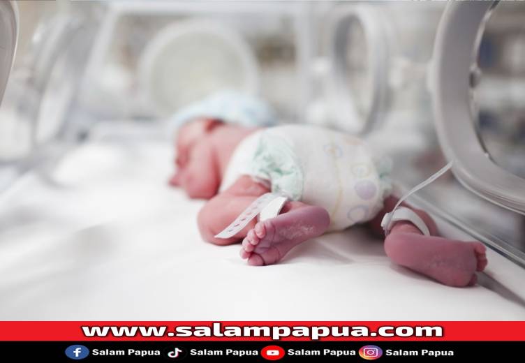 Bayi Prematur Yang Ditemukan Di Tong Sampah RSUD Mimika Dinyatakan Meninggal Dunia