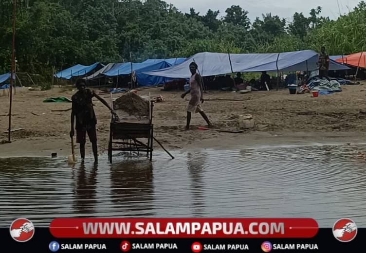 Dari Hulu Ke Hilir, Aktivitas Dulang Emas Di Mimika Barat Tengah Kian Meluas