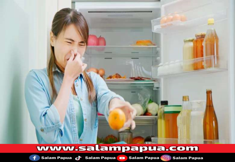 8 Cara Menghilangkan Bau Tak Sedap Di Kulkas