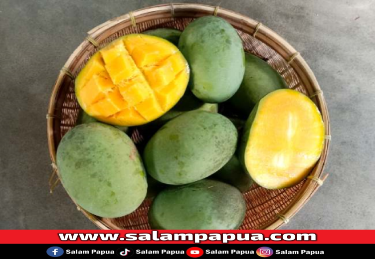 Mangga Kweni, Inilah Nutrisi, Manfaat, Dan Cara Mengonsumsinya