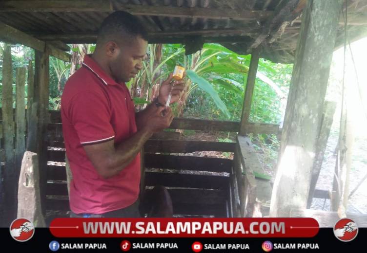Hanya Satu Paramedik Aktif, Pelayanan Kesehatan Hewan Di Deiyai Terkendala