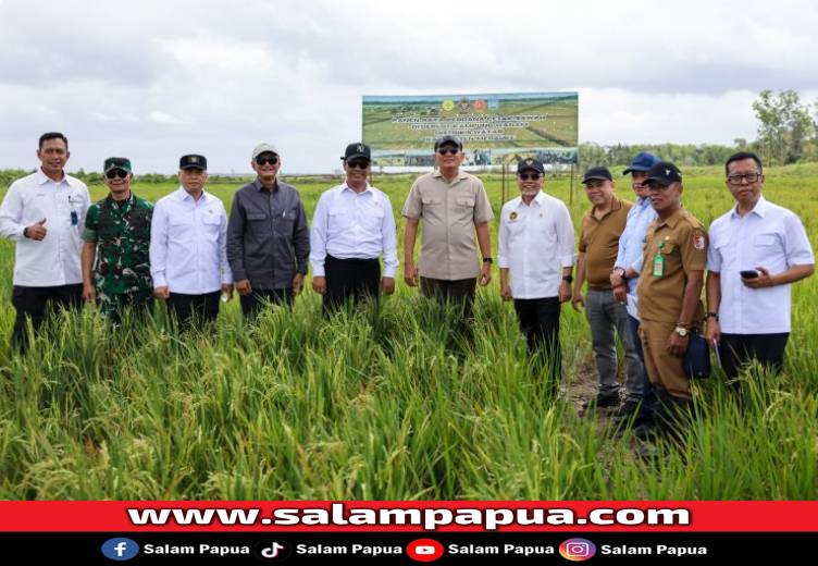 Wanam Masuk Proyek Strategis Nasional, Fokus Cetak Sawah Dan Infrastruktur
