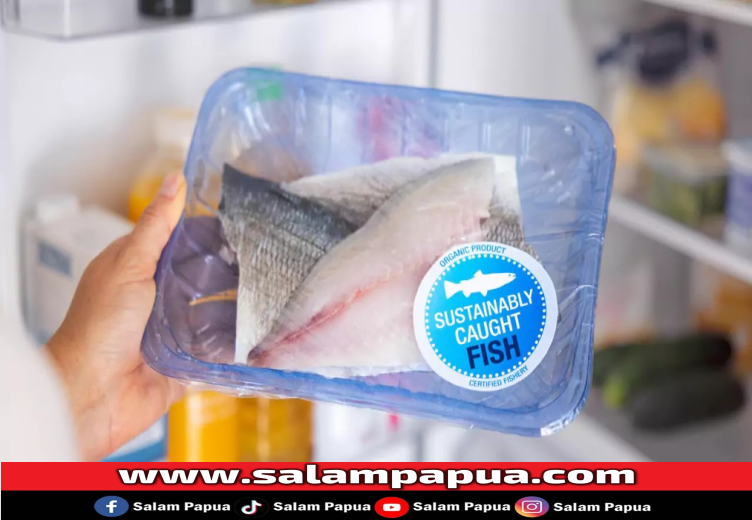 Ini Dia Cara Menyimpan Ikan Di Kulkas Agar Awet Dan Aman Dikonsumsi!