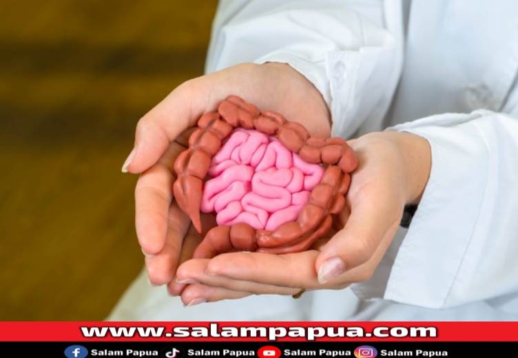 Jejunum, Ketahui Fungsi Dan Gangguan Yang Perlu Diwaspadai