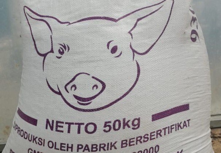 Dinas Peternakan Mimika Siapkan Alternatif Pakan Babi Bagi Peternak OAP