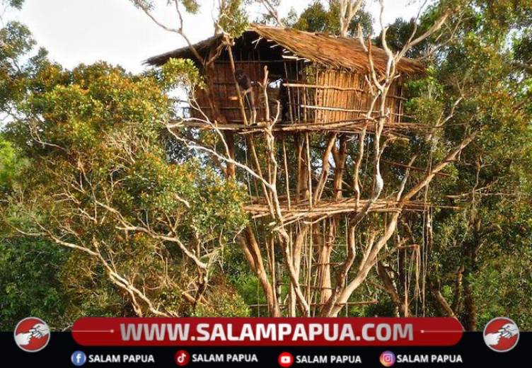 Tradisi Rumah Pohon Suku Korowai, Bukti Kecanggihan Arsitektur Dan Kearifan Lokal