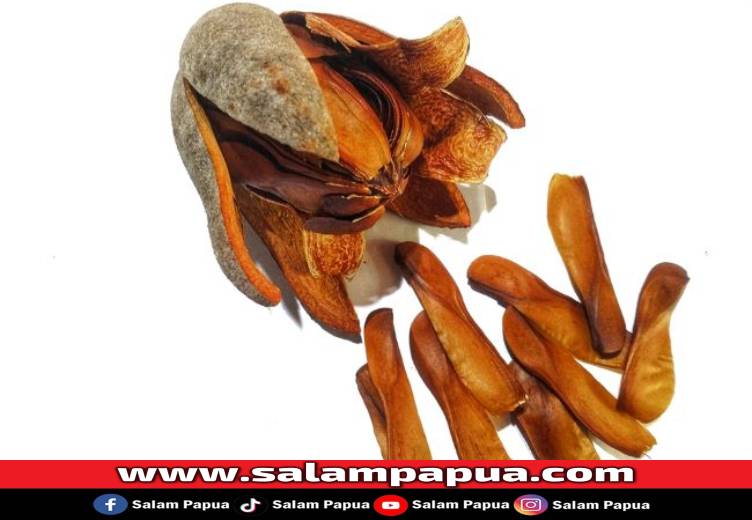 4 Manfaat Buah Mahoni Untuk Kesehatan Pria Dan Risiko Efek Sampingnya