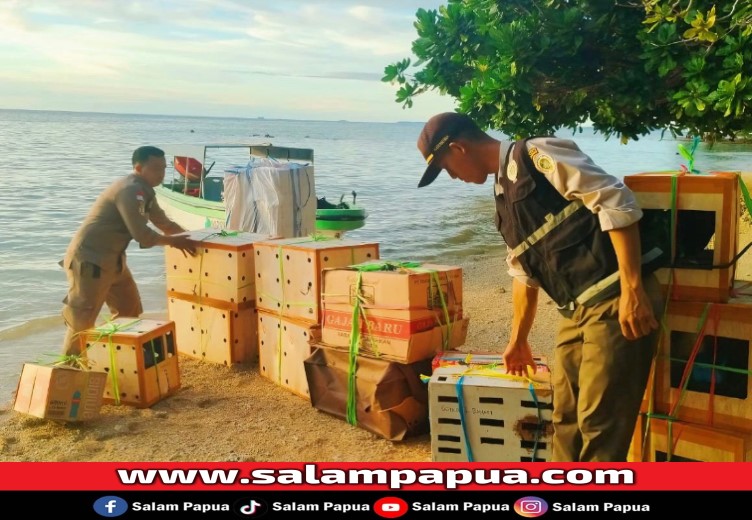 Karantina Papua Tengah Gagalkan Upaya Penyelundupan 28 Ekor Ayam Aduan