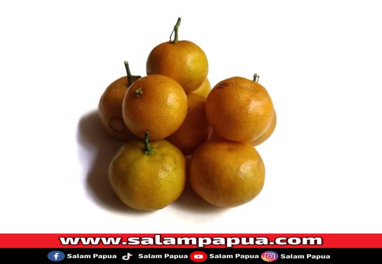 Jeruk Kimkit, Buah Berukuran Mini Yang Kaya Nutrisi