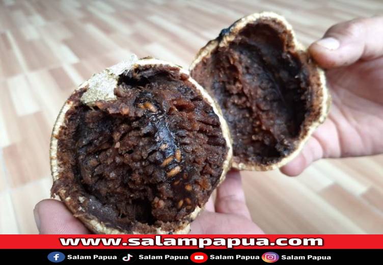 Buah Kawis, Buah Langka Yang Bermanfaat Untuk Kesehatan Tubuh