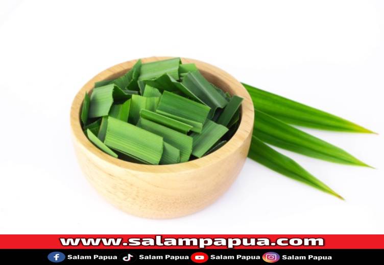 7 Manfaat Rebusan Daun Pandan Dan Tips Aman Mengonsumsinya