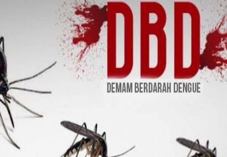 DBD Meningkat, Warga Kompleks Restu Timika Minta Wilayahnya Dilakukan Pengasapan Penyusir Nyamuk