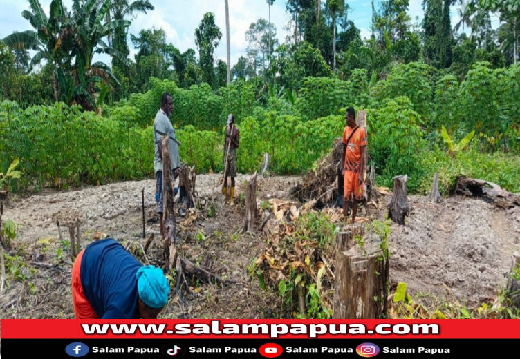 Kelurahan Kamoro Jaya Perkenalkan Project “Kamoro Bertani”