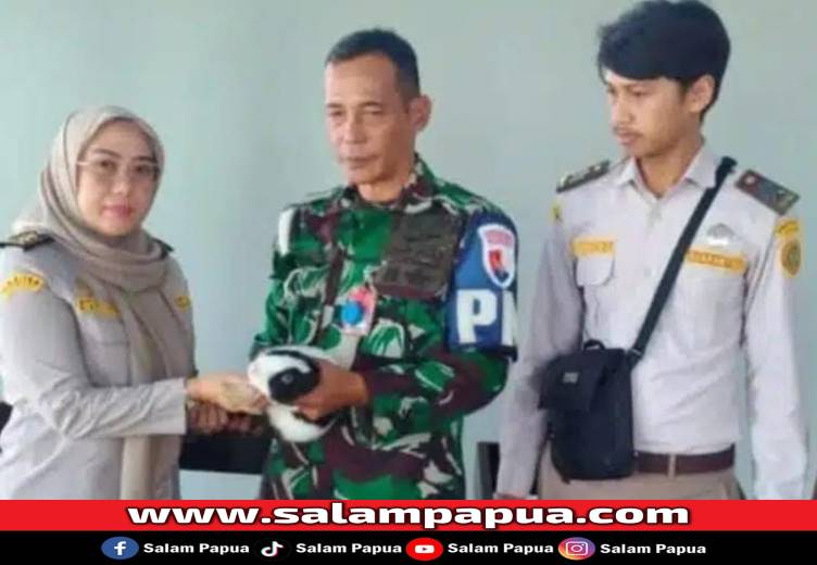 Karantina Papua Tengah Gagalkan Penyelundupan Empat Satwa Ilegal Ke Jakarta