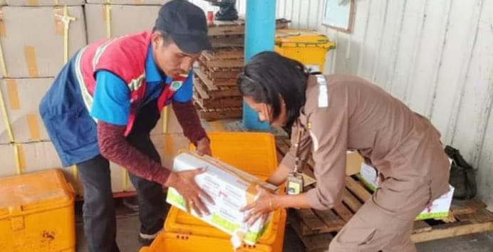 Awal Tahun, Karantina Tolak Enam Box Benih Sayuran Dari Jawa Barat